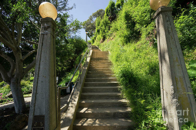 North street steps w1